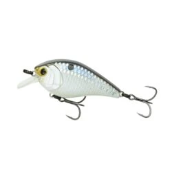 Crush Series - Shad Scales
