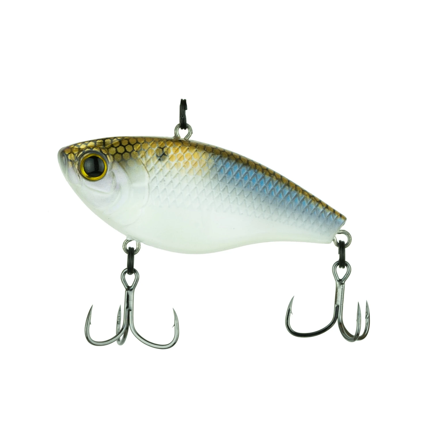 Duke - 4K Shad