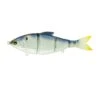 Trace 6" - Blueback Herring