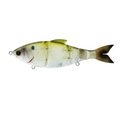 Trace 6" - Clearwater Shad