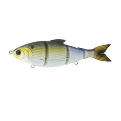 Trace 6" - Gizzard Shad