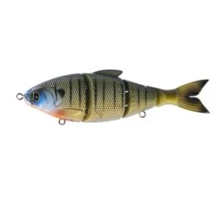 Trace 6" - Live Bluegill