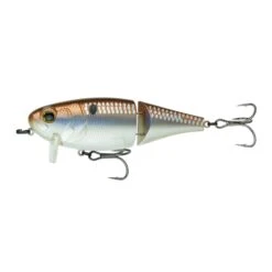 Speed Wake - 4K Gizzard