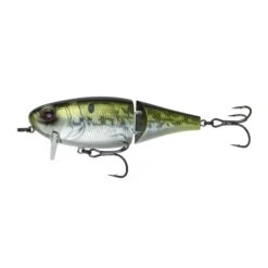 Speed Wake - American Shad
